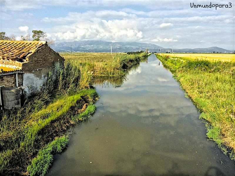 Impresionante: descubre los humedales más increíbles de España ...