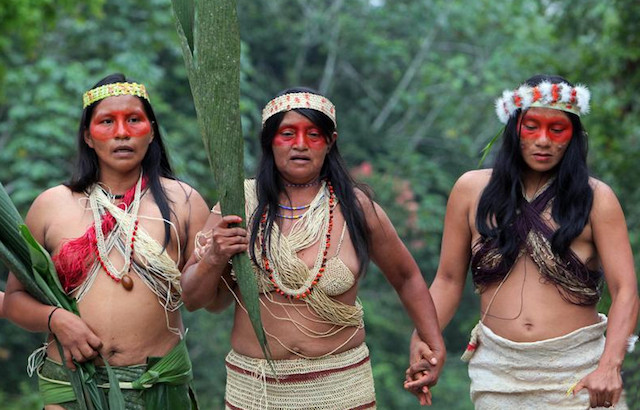 Amazonia Amazonas Voyager Google Earth aventura-amazonia.jpg