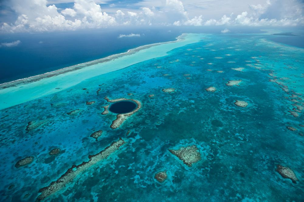 Barrera Coral Belice Aventura Amazonia.jpg