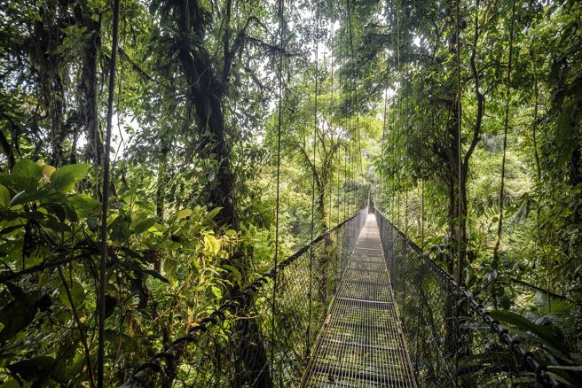 Belice Aventura Amazonia.jpg