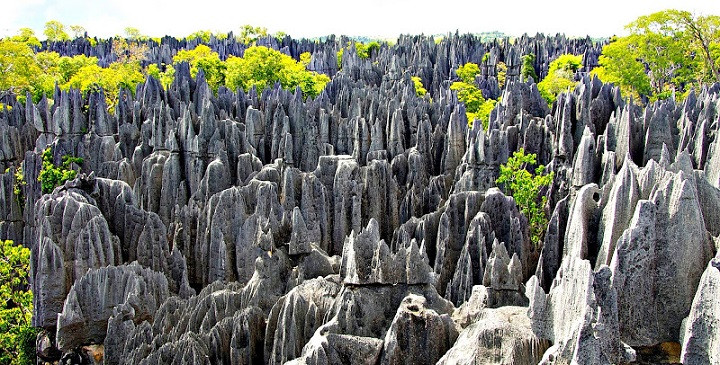 Parque Nacional Tsingy Madagascar.jpg