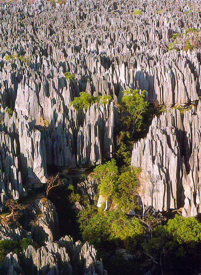 Parque Nacional Tsingy Madagascar7.jpg