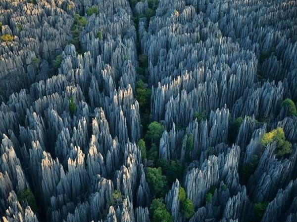 Parque Nacional Tsingy Madagascar8.jpg