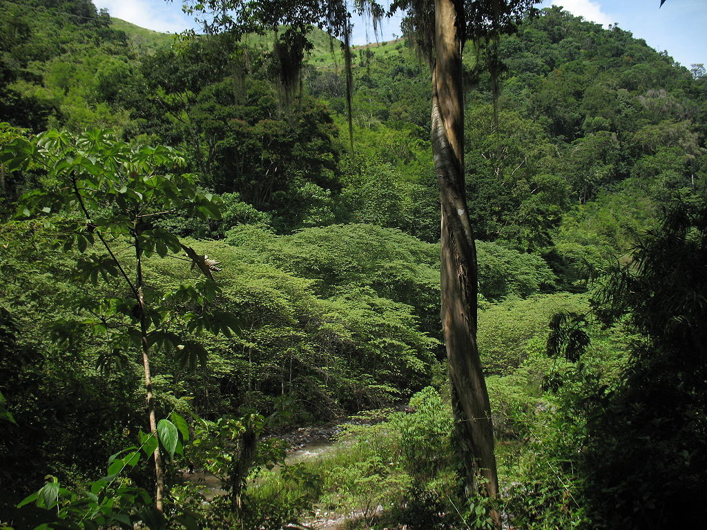 Sierra de Agalta Honduras Aventura Amazonia.jpg