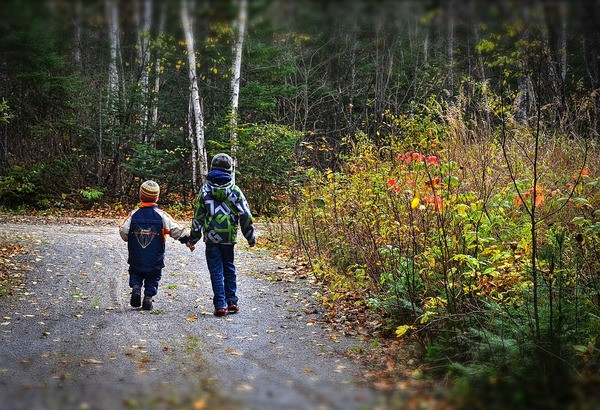 niños paseando bosque.jpg