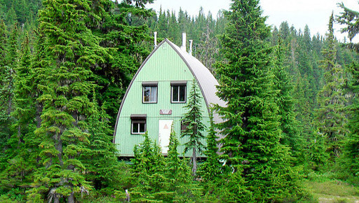 Cabaña verde en el bosque