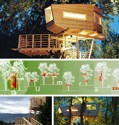 Casa del árbol moderna y tradicional