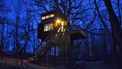 Casa del árbol de noche