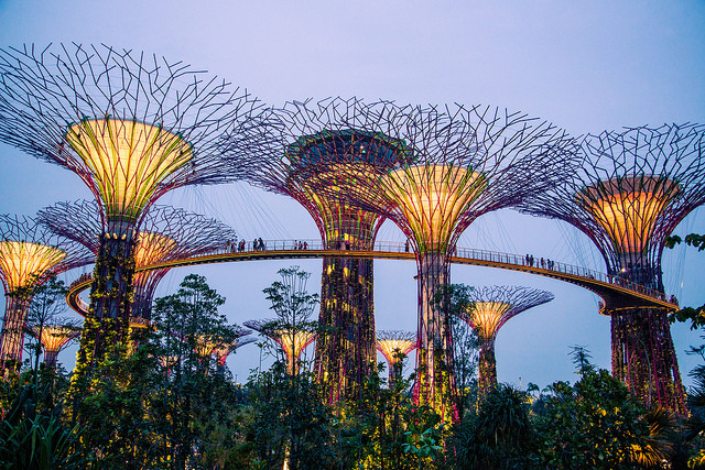 jardines de la bahía Singapur aventura amazonia.jpg