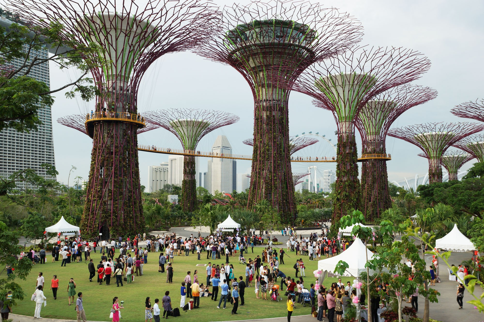 jardines de la bahía Singapur aventura amazonia3.jpg