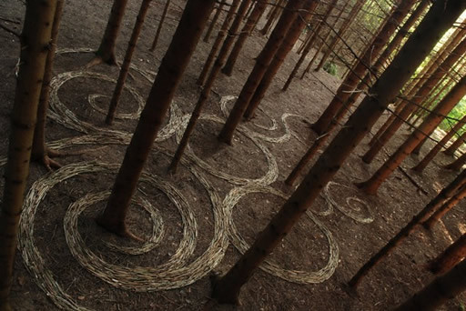 land-art-espirales.jpg
