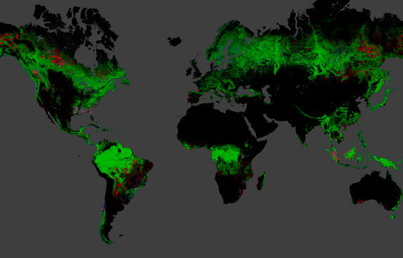 mapa deforestacion