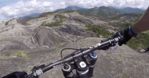 descenso-freerider.gif