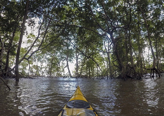 AMAZONAS_7.jpg