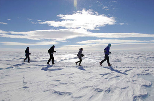 AntarcticIceMarathon.jpg