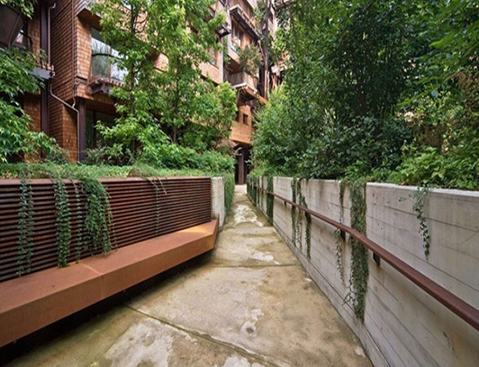 CASA_ARBOL_1.jpg