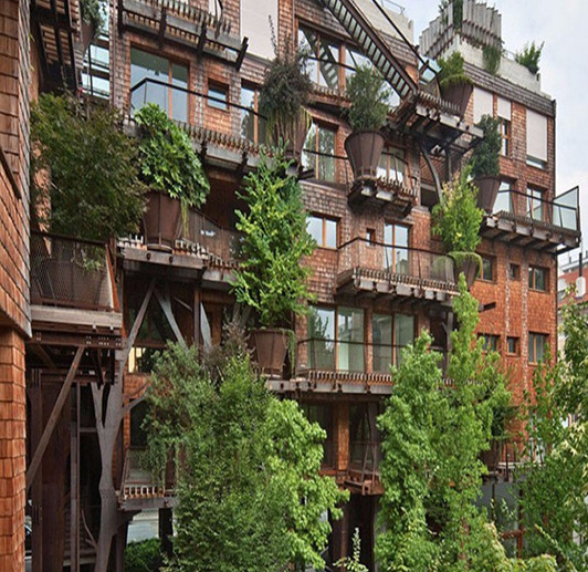 CASA_ARBOL_5.jpg