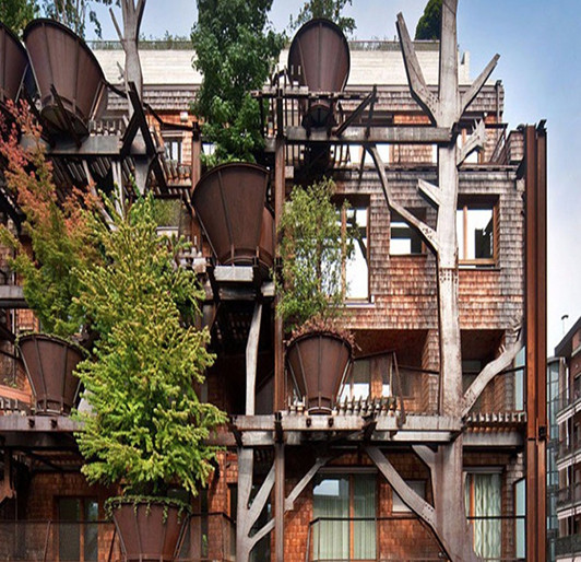 CASA_ARBOL_7.jpg