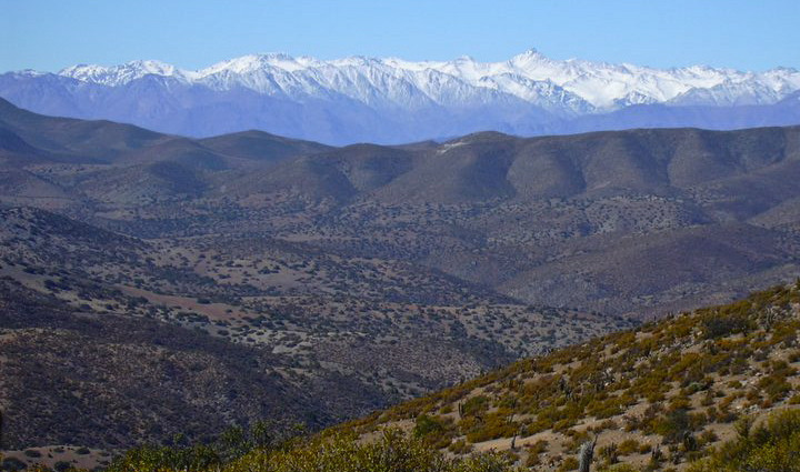Canela Baja Chile Odisea Aventura Aventura Amazonia2.jpg