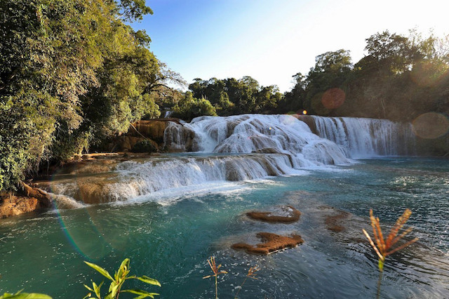 Cascada de Agua Azul (México) Aventura Amazonia.jpg