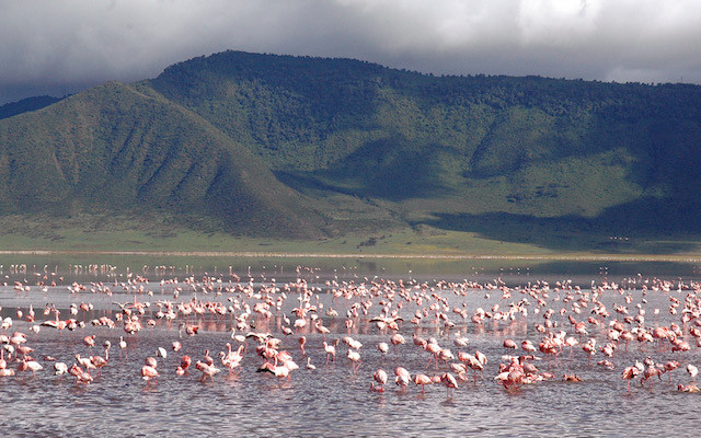 Cráter Ngorongoro Tanzania Aventura Amazonia2.jpg