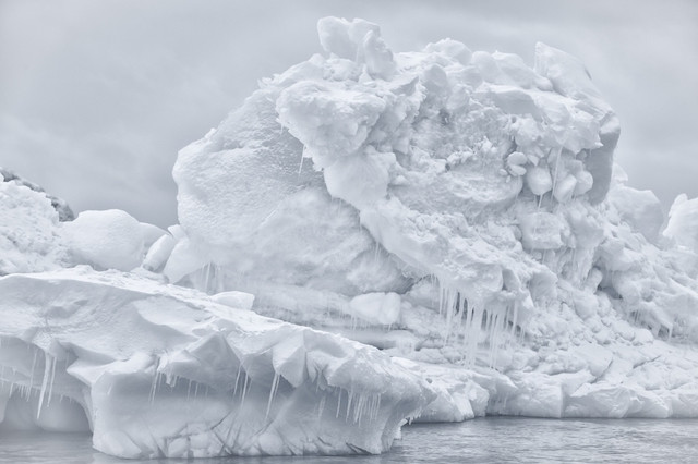 Dan Weldon Sony World Photography Awards Aventura Amazonia2.jpg