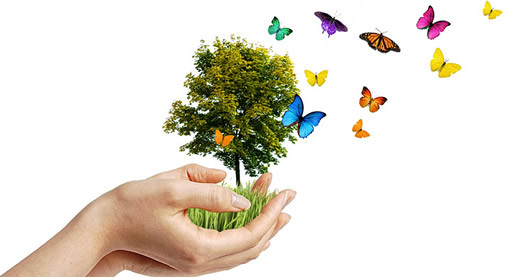 Día Mundial del Medio Ambiente 2014