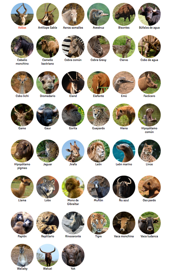 Fauna Cabarceno.png