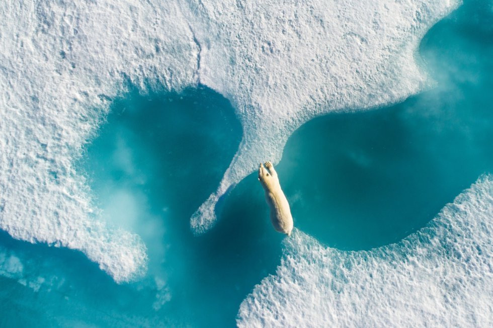 Florian Ledoux Norte de Canada Drone Awards Aventura Amazzonia.jpg