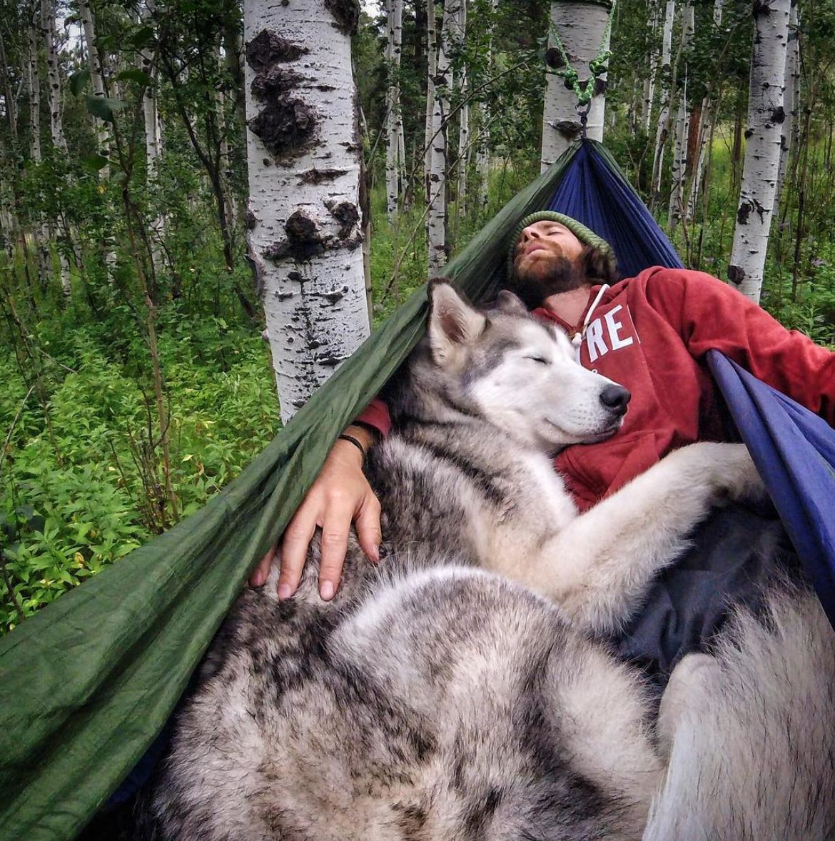 Kelly y Loki duermen.png