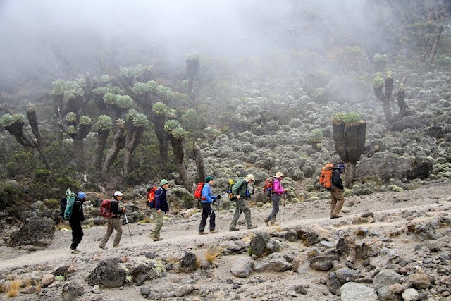 Marangu Kilimanjaro Tanzania Aventura Amazonia.jpg