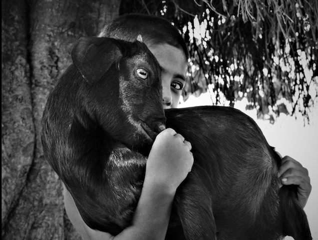 Md. Tofazzal Hossain Bangladesh Sony World Photography Awards.png