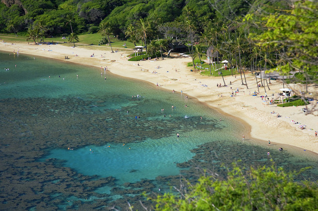 Oahu Hawai Aventura Amazonia.jpg