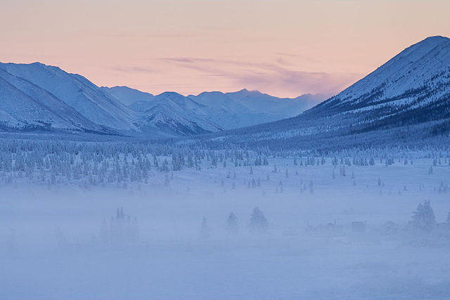 Oymyakon_forests.jpg