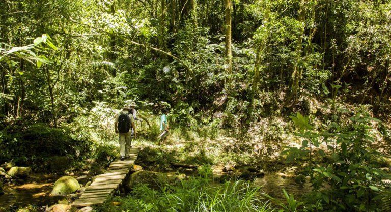 Parque Nacional Cusuco Honduras Aventura Amazonia3.jpg