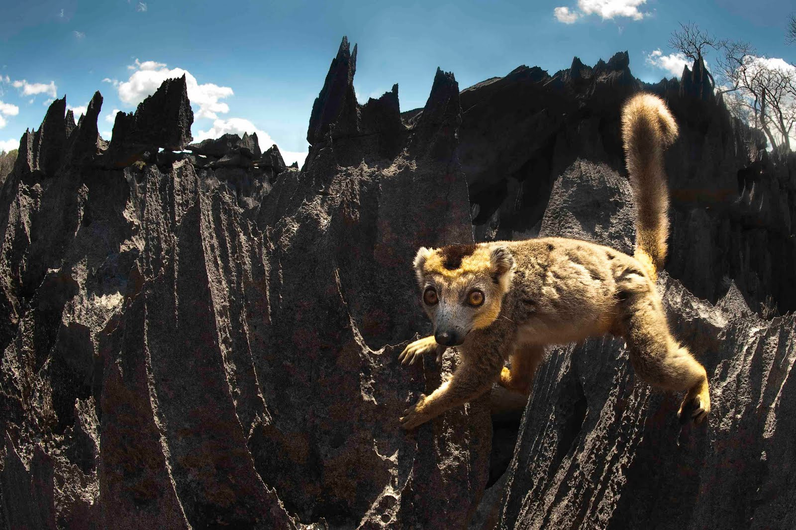 Parque Nacional Tsingy Madagascar6.jpg