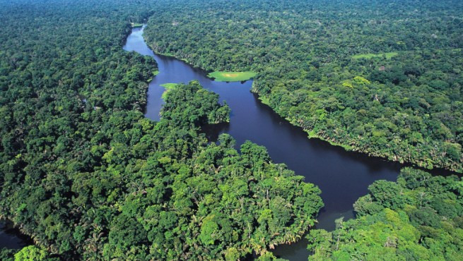 Parque Tortuguero.jpg