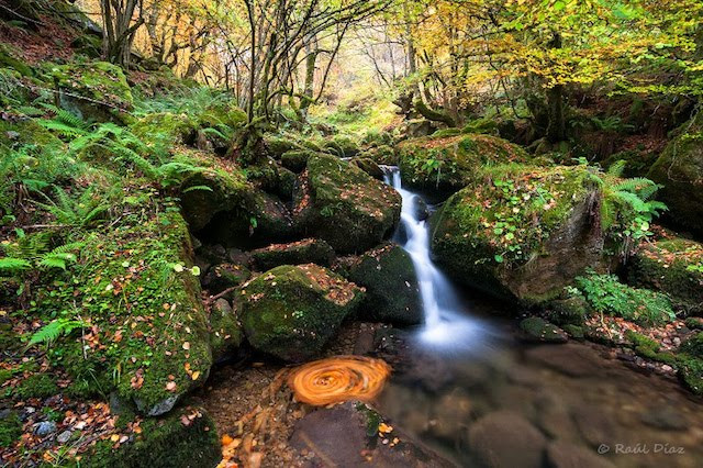 Parque de Redes Asturias Aventura Amazonia.jpg