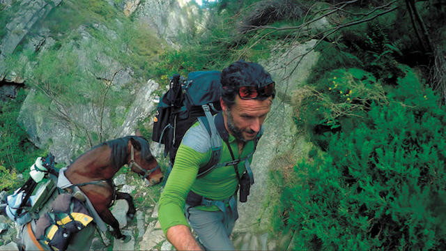 Parque de Redes Asturias Aventura Amazonia10.jpg