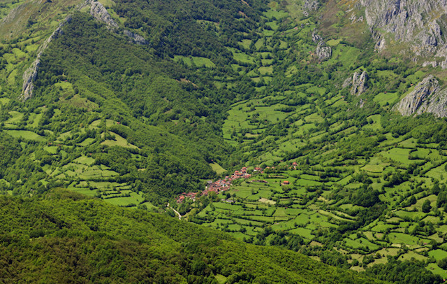 Parque de Redes Asturias Aventura Amazonia3.jpg