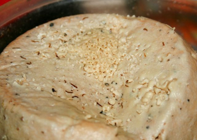Queso con gusanos Aventura Amazonia.jpg