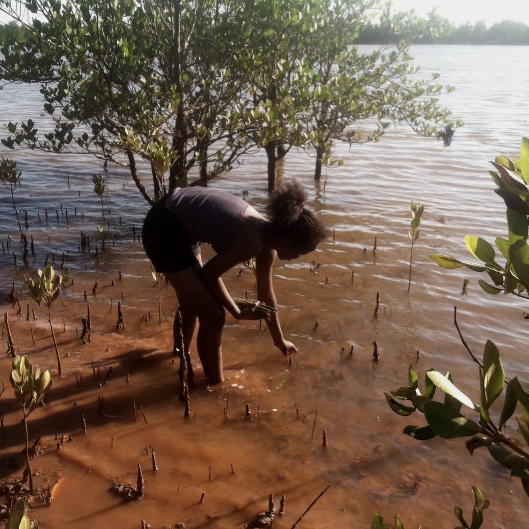 Reforestacion Ecosia Aventura Amazonia .jpg