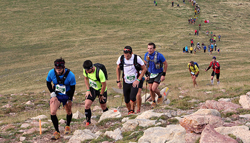 SALOMON7.jpg