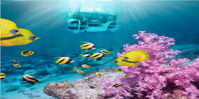 Submarino Turístico Aventura Amazonia.png