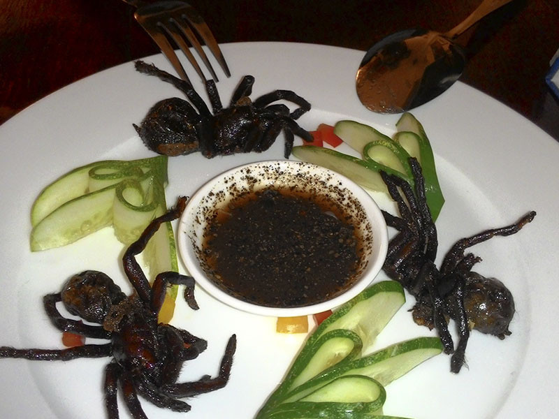 Tarantulas fritas aventura amazonia.jpg