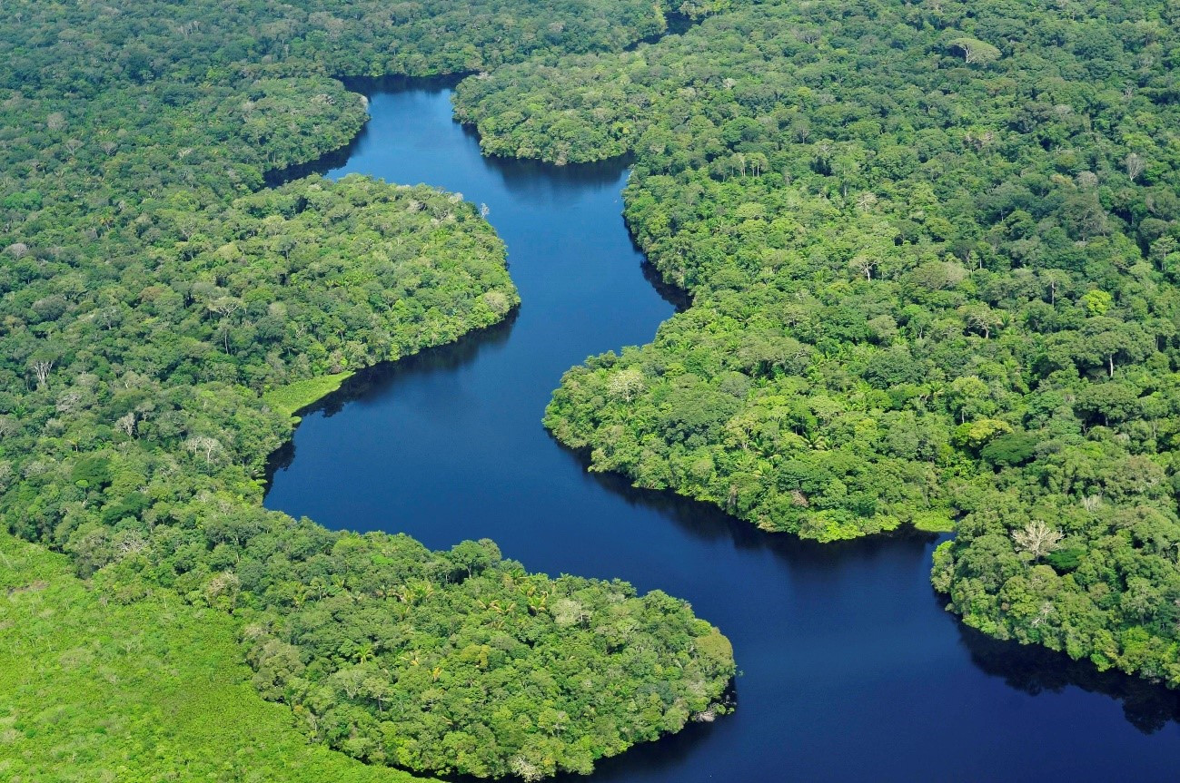 amazonas.jpg