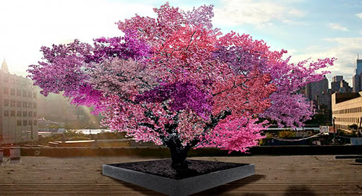 arbol-mil-frutas.jpg