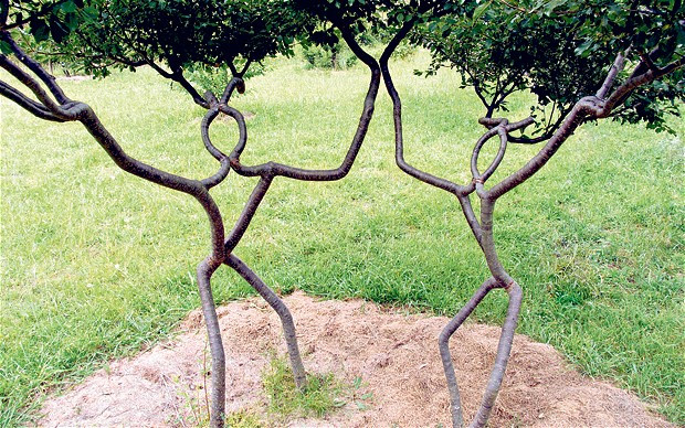 arboles forma personas