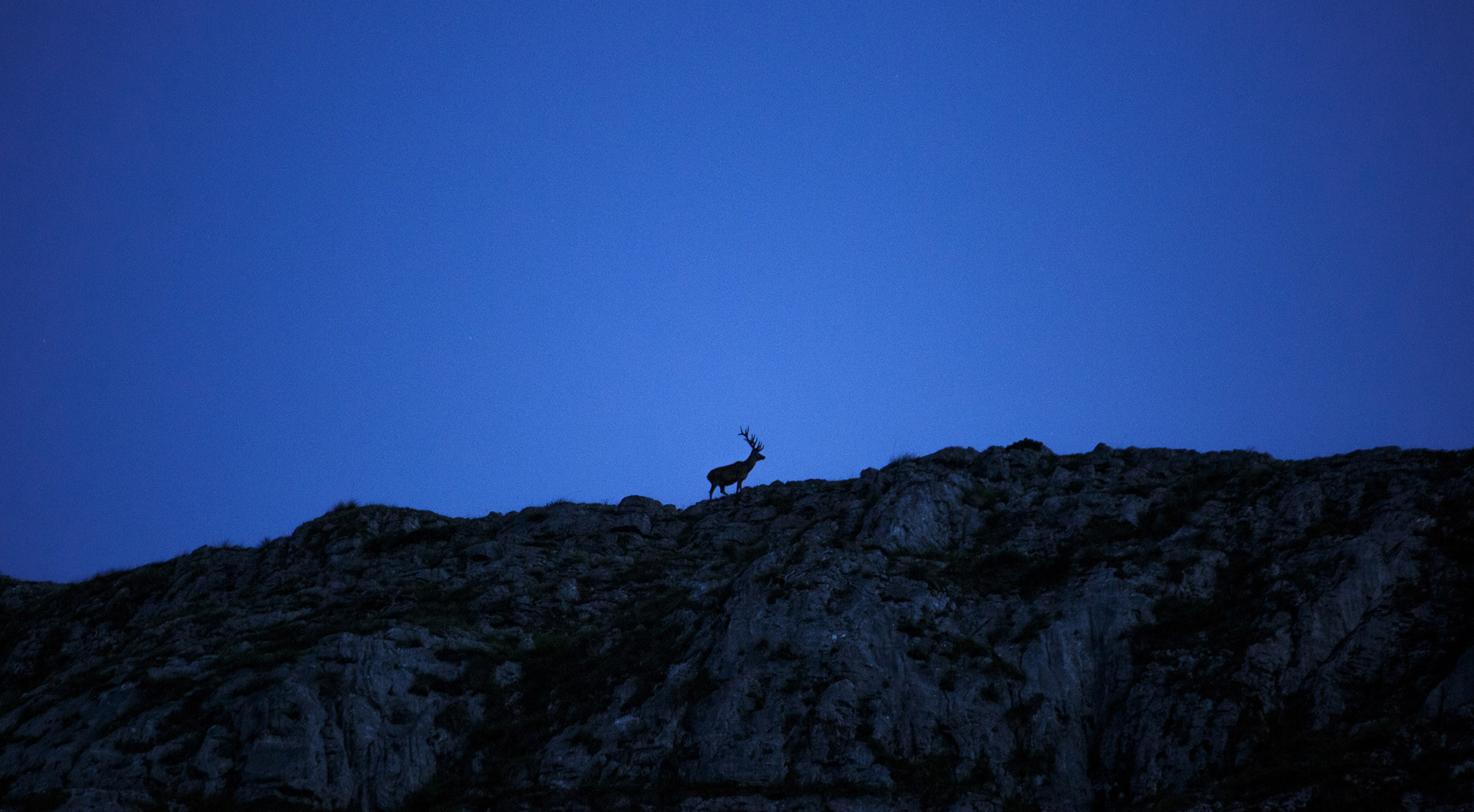 bg_picos_10a.jpg