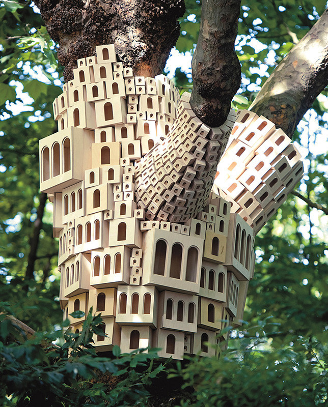 casitas pajaros